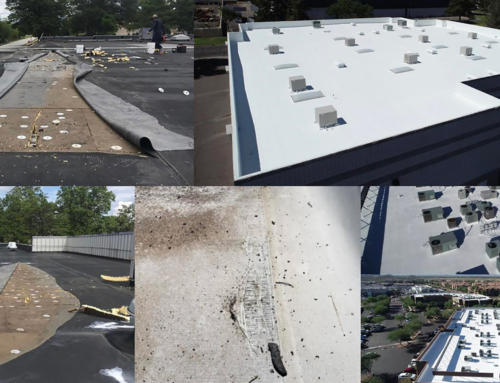 Foam Roofing VS TPO/PVC Roofing